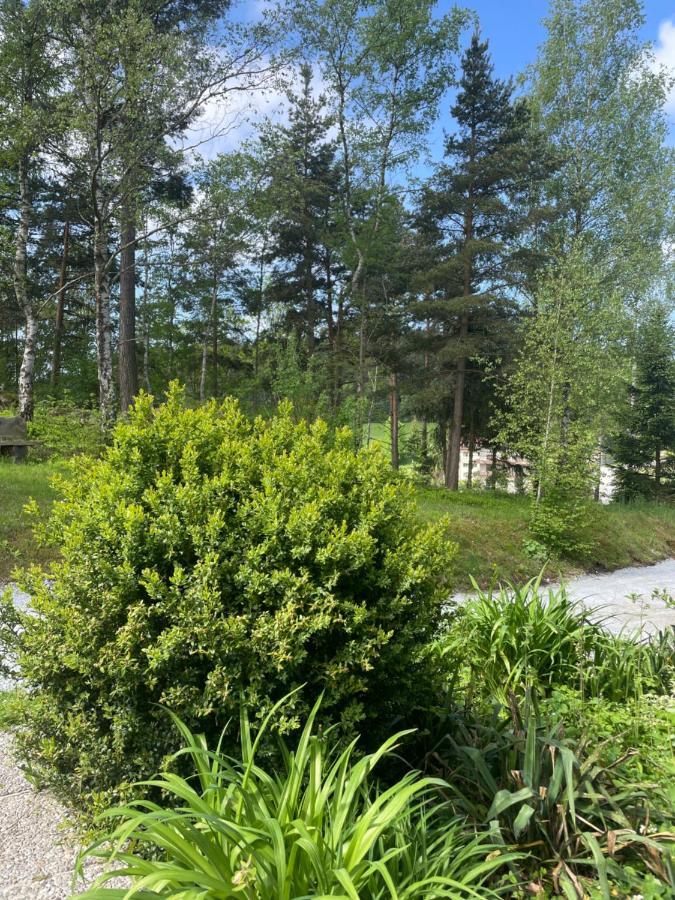 Villa Haus Am Berg - Waldviertel Arbesbach Esterno foto